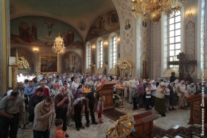 _HV_7001