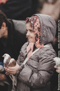 IMG_2728