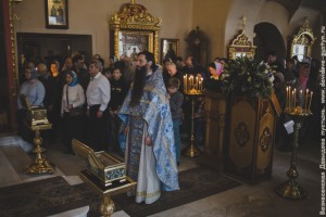 IMG_8188