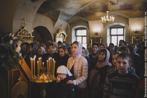 IMG_8192
