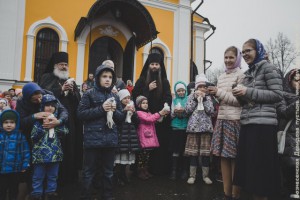 IMG_9206