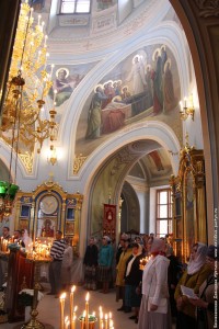 IMG_8203