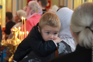 IMG_8221