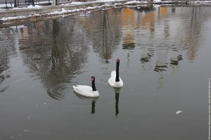 IMG_1375