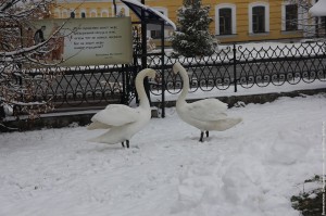 IMG_1378