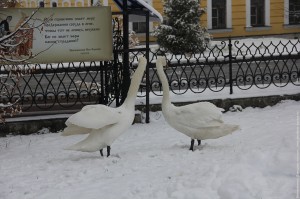 IMG_1379