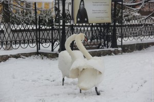 IMG_1400